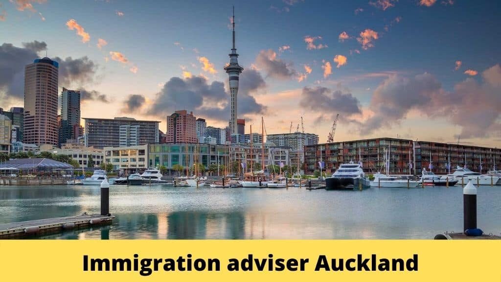 immigration adviser auckland