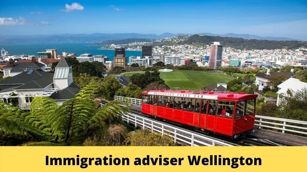 immigration advisor wellington